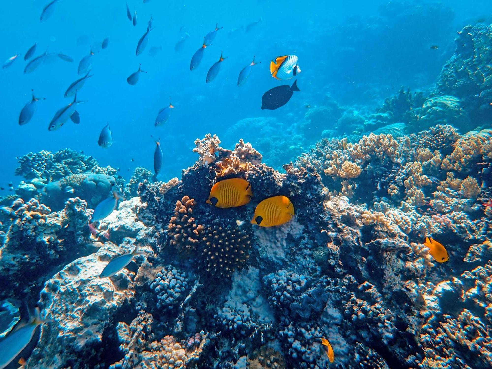 爱妮岛 Isla - The Island Experience酒店 外观 照片